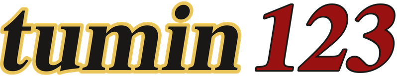 tumin123 logo